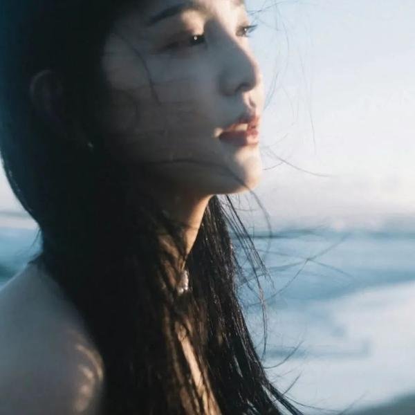包青天之碧血丹心